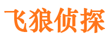 泸州市侦探调查公司